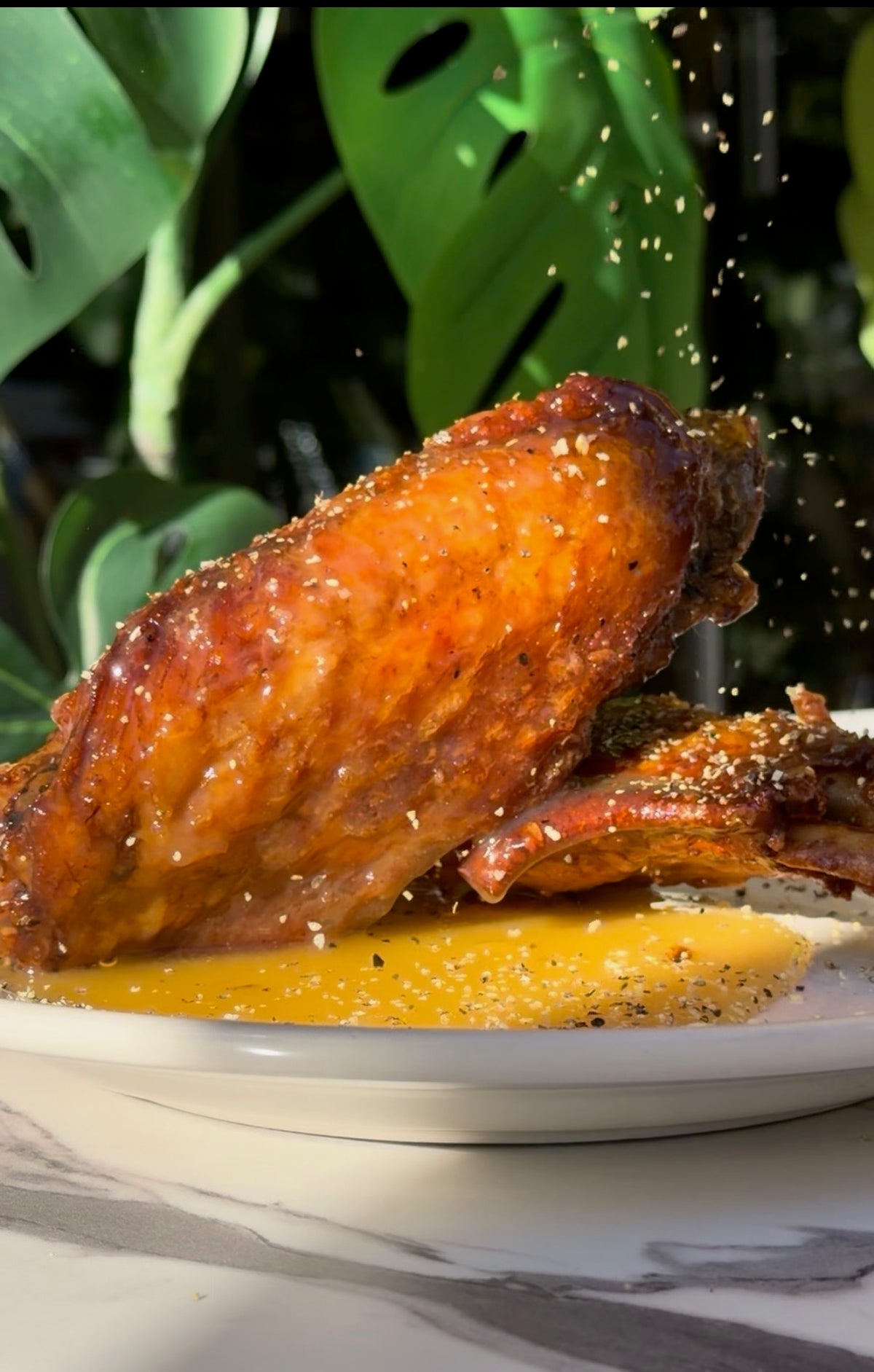 Turkey Wings